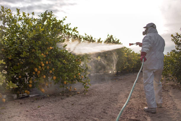 Best Commercial Pest Control Services  in Arta, CA